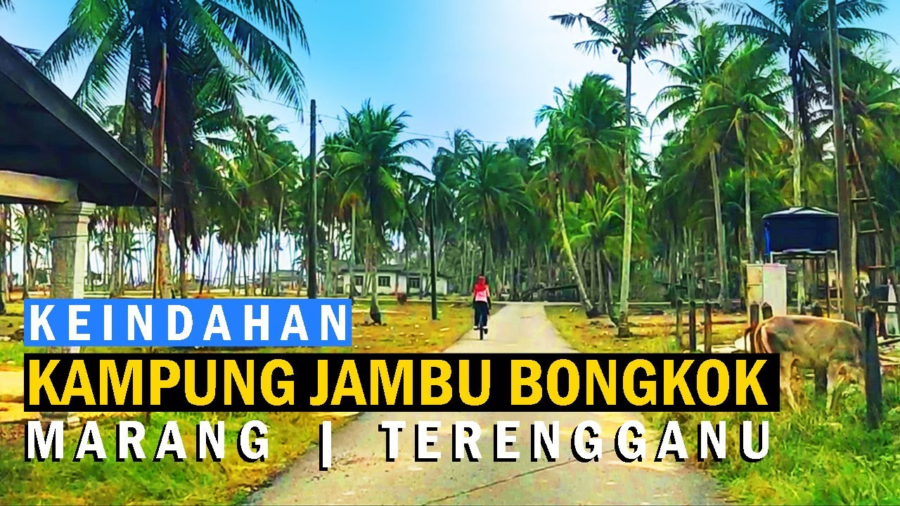 KAMPUNG JAMBU BONGKOK | MARANG TERENGGANU