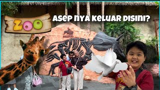 ALFI BUYS BY BY AND GOES TO BALI ZOO || #Balipart3