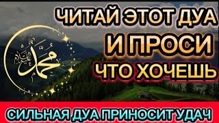 ДУА ДЛЯ ИСПОЛНЕНИЯ ЖЕЛАНИЙ НА КАЖДЫЙ ДЕНЬ СЛУШАЙТЕ КОРАН !! Сура Ясин