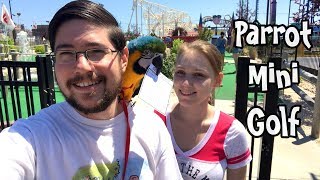 Rachel Blue and Gold Macaw Plays Mini Golf