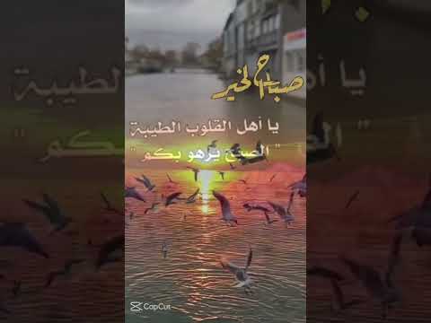 دخلك ياطير الوروار سلملي على الحبايب فيروز فيروزيات تابعوني