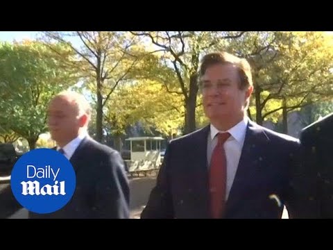 Paul Manafort trial tested Mueller, Trump: What to know about the case