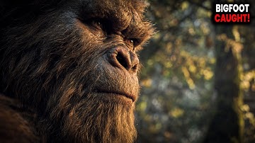 Terrifying Bigfoot Encounter in the Woods — Full Clip Released