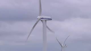 Dutch majority community-owned wind farm opens