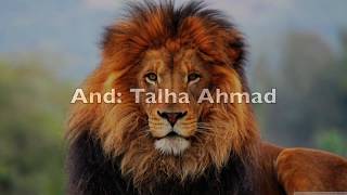 Almc 202 - Alphabet Project- Arabic Alphabet Song - Sbta