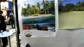 Uepi Island Resort Solomon Islands.AVI