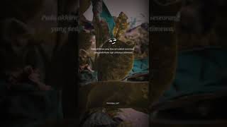 Download Lagu Story wa tresno Ra bakal ilang kangen sansoyo mbekas part 2 || status terbaru MP3