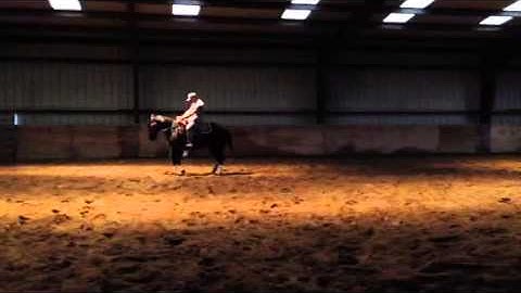 Ace working the mechanical cow