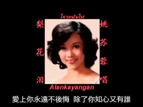 梨花泪~音质处理&歌词~（姚苏蓉唱）~好歌听出好心情。