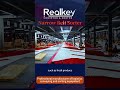 "Revolutionize Your Logistics with the Narrow Belt Sorter! 🚀 | Efficiency at Its Best!"