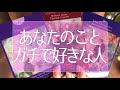 あなたのことを好きなお相手がガチで分かる!すごく当たる🤭💭💭タロット占い💫オラクルカードリーディング🔮3択🔮