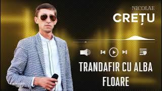 Nicolae Crețu - TRANDAFIR CU ALBĂ FLOARE