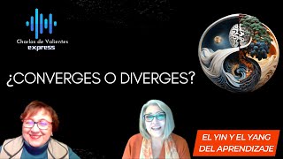 ¿Converges o diverges?  El yin y el yang del aprendizaje