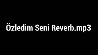 Atilla Kaya - Özledim Seni (Reverb)