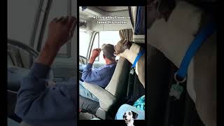 Dogs being menaces to their owners 😂🐶  #naughtypets #funnydogs #dogpranksowner