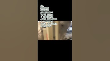 CPP/CPE multiple layer co-extrution cast film production line running in China!🔥#plasticfilm #cpp