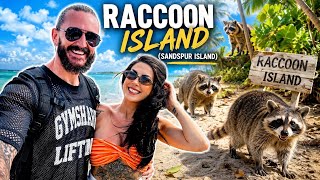 🦝Raccoon Island Miami🌴 The REAL Experience! & Billionaire Bunker 🛥 | Miami Vlog