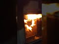 Видеообзор мышеловки Rubit и краткий обзор крематора Неделька. 18+ !