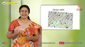 KITE VICTERS Plus One Botany Class 30 (First Bell-ഫസ്റ്റ് ബെല്‍)