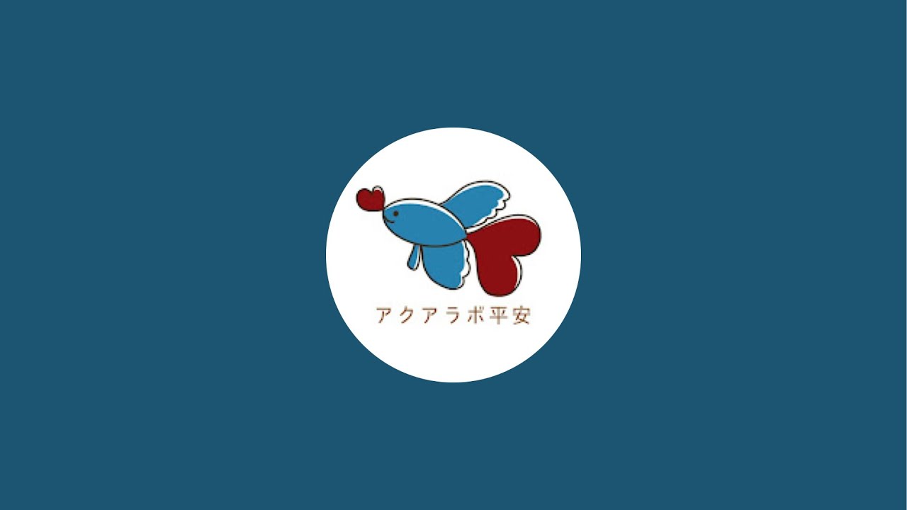 『閉店』今後の活動について