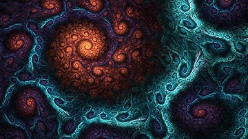 Bohemian - Fractals Everywhere [Visualization]