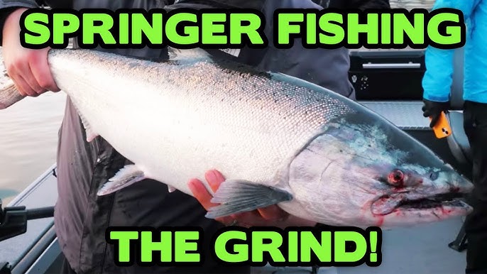 How To Catch Spring Salmon Using 360 Flashers & Superbaits 