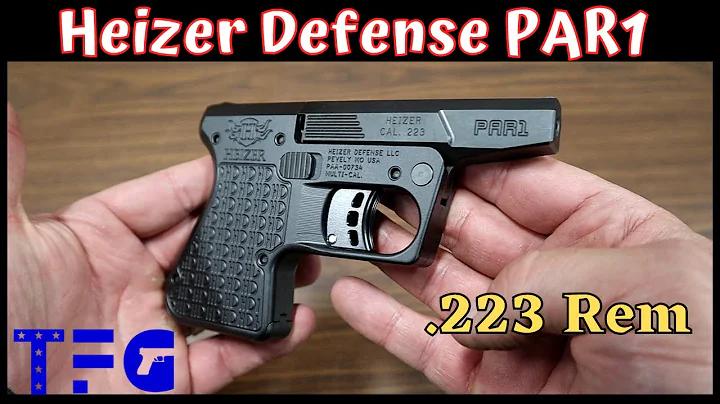 Heizer Defense PAR1 in .223 Rem - TheFirearmGuy