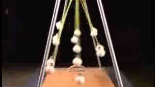 Pêndulo de Ondas (Pendulum Waves)