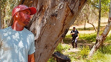 THE Delaminated Pickleball Paddle 👀 🤣