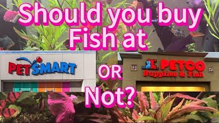 Can you buy fish at petsmart or petco??