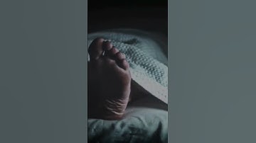 سورة العنكبوت ايه 57