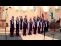 Happy- Pharrell Williams cover by the Fortis Boy Choir from our May 2016 Spring concert.