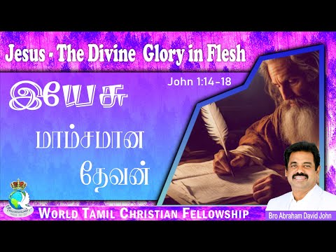 The Divine Glory in Flesh