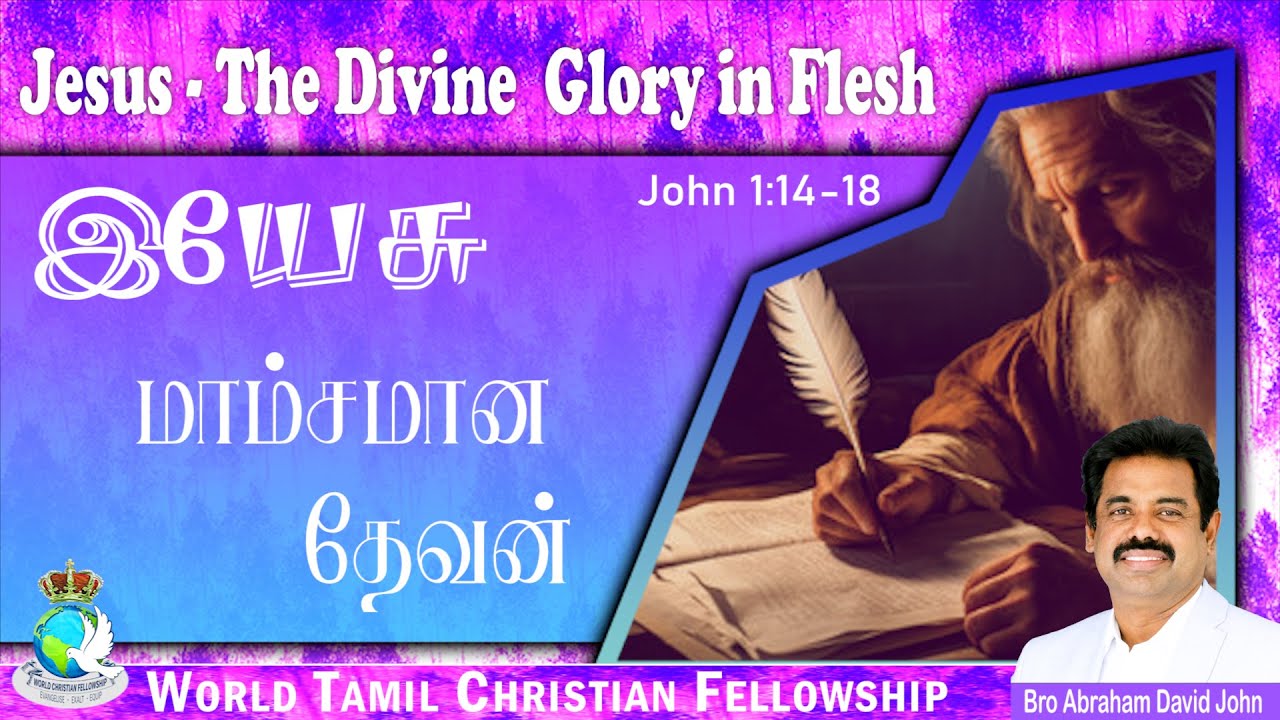 The Divine Glory in Flesh