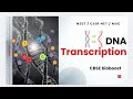 🔥One Shot DNA Transcription in Prokaryotes🔥