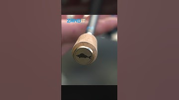 Delphin Zandit - Lightweight rod with highly sensitive solid tip, ideal for sander fishing