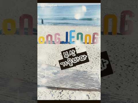 부산, 겨울바다/ Good Goodbyeㆍ화사