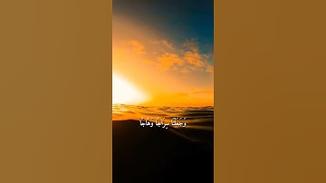 واتس اب قران كريم القارئ ماهر المعيقلي من سورة (النبأ)