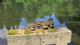david dunn-chaos and the emergent mind of the pond