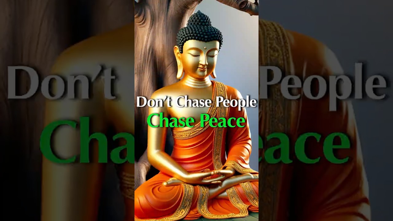 Peace Begins When You Stop Chasing