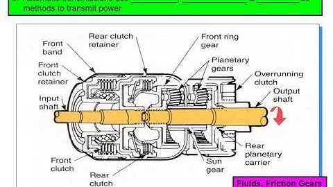 Topic 2 Brain and Nervous System Presentation GCU PSY 402