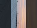 Sunset view with me #bhatia
