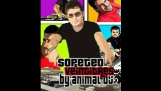 Animal DJ - Sopeteo 23 (www.animaldj.co)