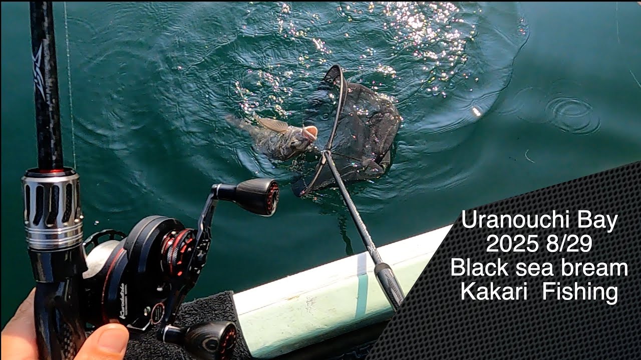 【かかり釣り】息子とのんびりカセ釣り日記19 悪戦苦闘編