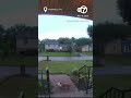 Adorable dog steals food delivery from front porch