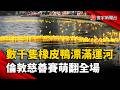 數千隻橡皮鴨漂滿運河 倫敦慈善賽萌翻全場｜#寰宇新聞 @globalnewstw