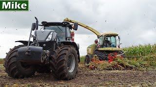 Mais Hakselen 2018 Krone Big X 530 Black New Holland T7.230 Bijker Vicon Havelte Nl.