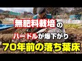 【自然農法】土が変わる落ち葉のチカラ「70年前の落ち葉床」をご紹介!!