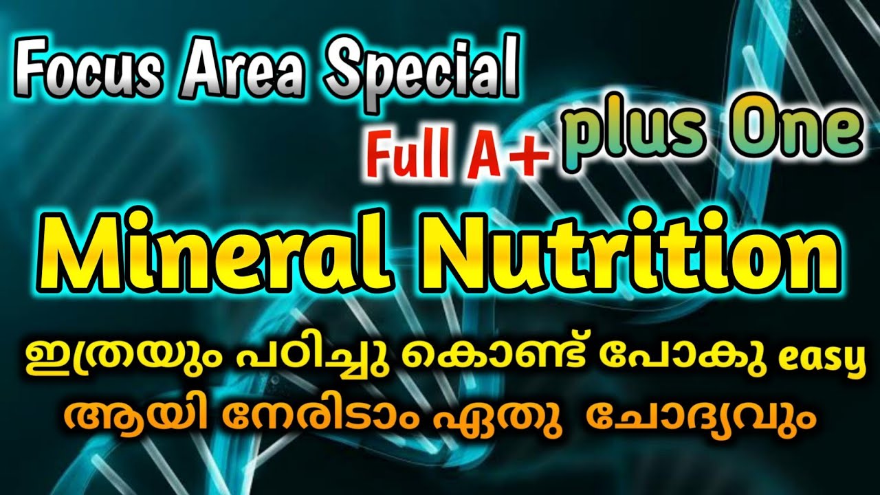 Plus One Botany Focus Area Based Class | Biology | Chapter 12 | Mineral Nutrition | A+ Special