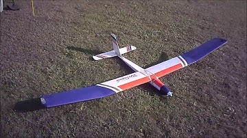 Whisper Glider Pulsers Field